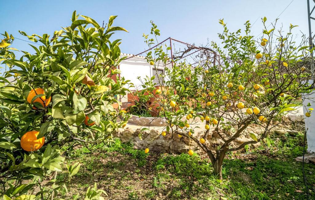 Casa Rural Antonio Y Esperanza Periana Luaran gambar