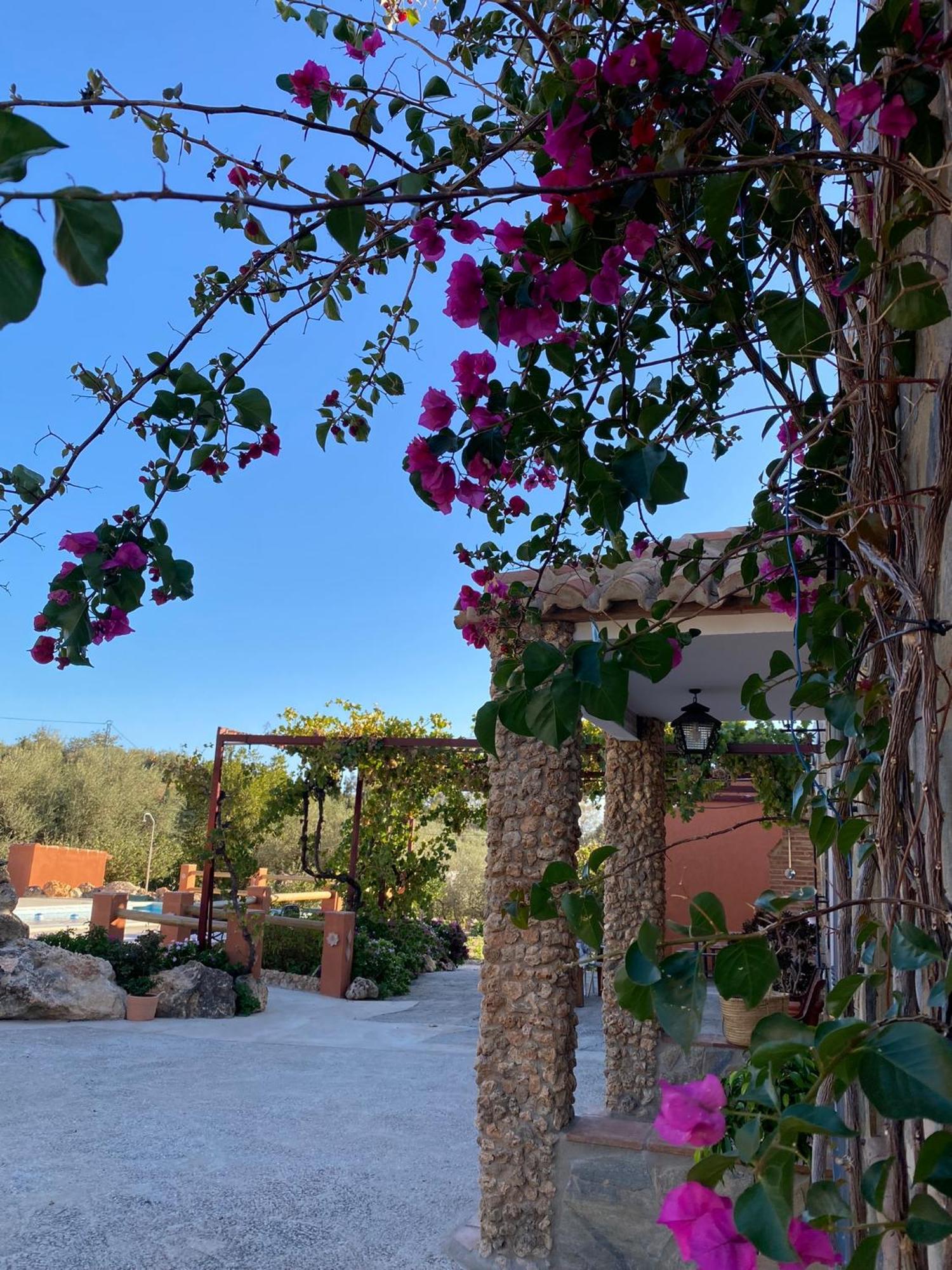 Casa Rural Antonio Y Esperanza Periana Luaran gambar