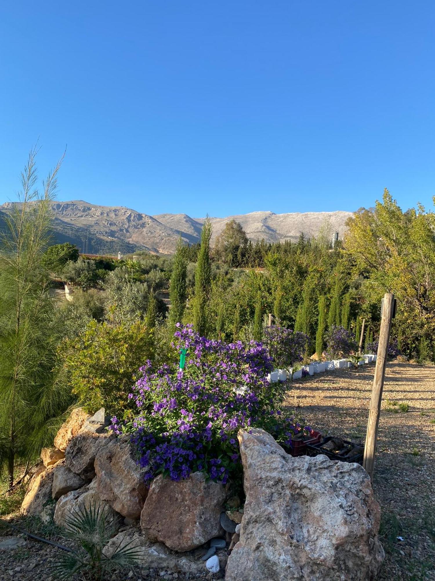 Casa Rural Antonio Y Esperanza Periana Luaran gambar